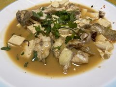 -煲来饱去冷水鱼