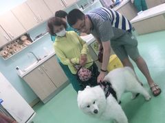 -北京观赏动物医院·24小时大型综合·猫专科·异宠专科