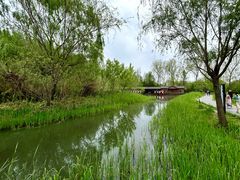 -溱湖国家湿地公园