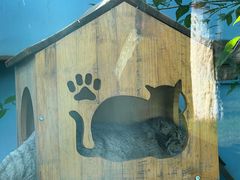 -青藏高原野生动物园