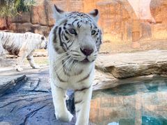 -杭州野生动物世界