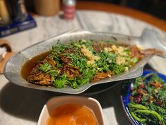 香辣炝锅鱼-树厨贵州菜(大十字店)
