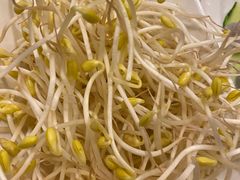 仁虎井水豆芽-仁虎老火锅(黄泥磅店)