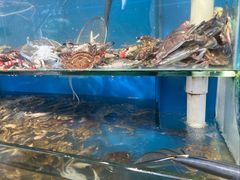 -仙螺岛海鲜自助餐厅(总店)