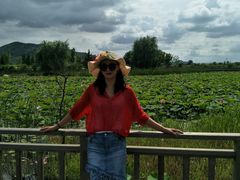 -羊亭河湿地公园