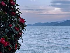 -东钱湖旅游度假区