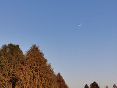 -贡湖湾湿地公园