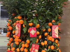 -广州仁爱天河医院
