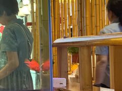 -原鄉本味 楚菜 丹江口鱼(北苑店)