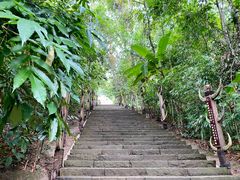 -西双版纳基诺山寨