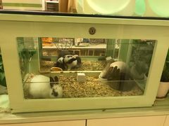 -龙猫仔乐园(惠福东路店)