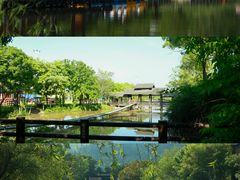 -黄陂区野村谷景区