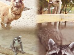 -水上乐园·欢乐世界