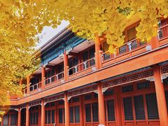 -北京石刻艺术博物馆(五塔寺)