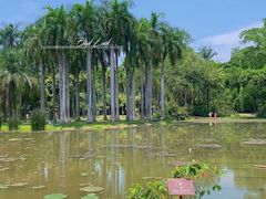 -中国科学院西双版纳热带植物园