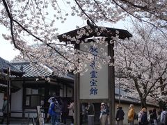 -醍醐寺