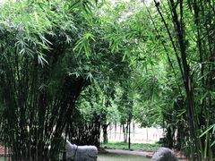 -瀛洲公园