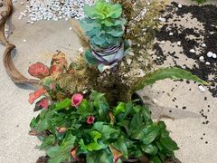 -歎雪糕低糖低脂Gelato冰淇淋