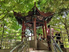 -黄村公园