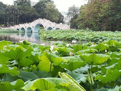 -雀儿山公园
