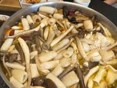 -菌极鲜野生菌火锅店(阳明祠店)