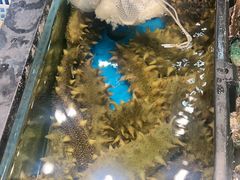 -隐厨·海鲜餐厅(恒通路店)