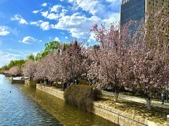 -元大都城垣遗址公园