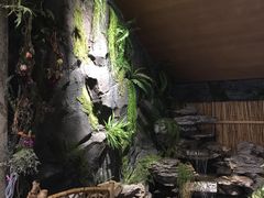 -金石青云炭火烤肉店(中房上东花墅店)