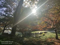 -九曜山