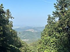 -冶父山国家森林公园