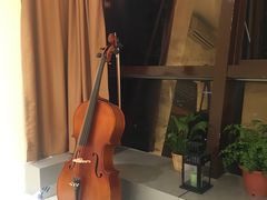 -MusicLife音乐(浦东校区)