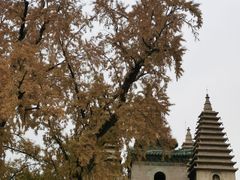 -北京石刻艺术博物馆(五塔寺)