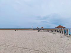 -东郊椰林