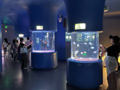 -欢乐海岸海洋奇梦馆