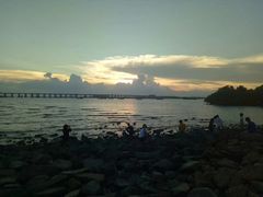 -宝安西湾红树林湿地公园