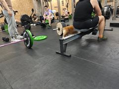 -Stud CrossFit(泰丰大厦店)