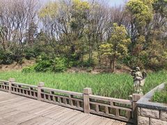 -蠡湖中央公园