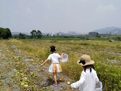 -光明小镇欢乐田园