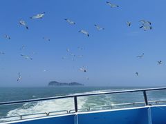 -海驴岛(荣成市)