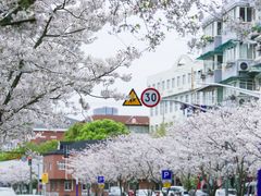 -永乐路-路侧停车场