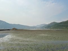 -腾冲北海湿地