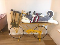 -Husky Go! 哈士奇体验馆·宠物咖啡厅狗咖