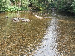-广州市石门国家森林公园