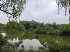 -禹州森林植物园