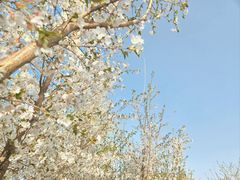 -太阳宫公园