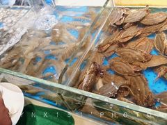-加餐海鲜自助(集美银泰百货店)