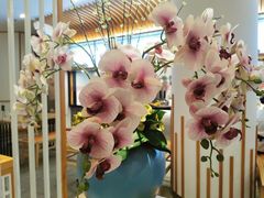 -穆桂英美食(城中店)
