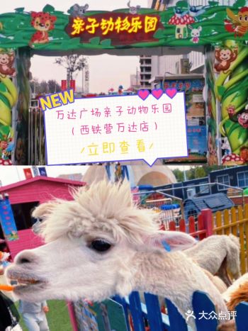 遛娃？不可错过的亲子动物乐园