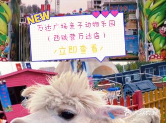 遛娃？不可错过的亲子动物乐园