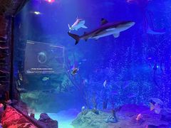 -沈阳海洋探索中心